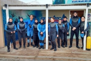Puerto Madryn: Snorkel con leones marinos