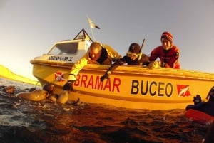PUERTO MADRYN , PLONGÉE EN APNÉE AVEC LES OTARIES