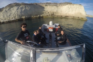 PUERTO MADRYN , SNORKEL CON LEONES MARINOS