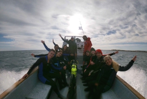 PUERTO MADRYN , SNORKEL CON LEONES MARINOS