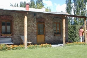 Puerto Madryn: tour degli insediamenti gallesi in Patagonia