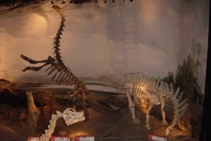 Puerto Madryn: tour degli insediamenti gallesi in Patagonia