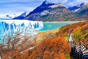 Puerto Natales: Dagvullende tour Perito Moreno gletsjer