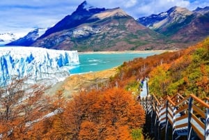 Puerto Natales: Full Day Perito Moreno Glacier in Argentina