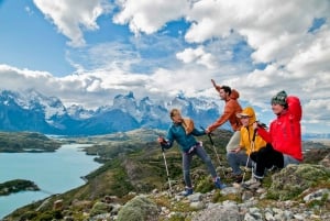 Puerto Natales: Hele dag tour Nationaal Park Torres del Paine