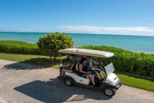 Punta Cana: Iguana Sanctuary, Sailing & BBQ Tour