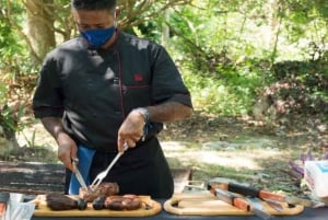 Punta Cana: Iguana Sanctuary, Sailing & BBQ Tour