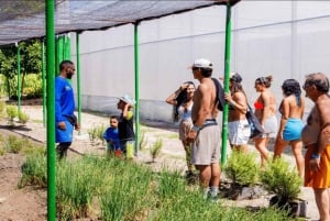 Punta Cana: Iguana Sanctuary, Sailing & BBQ Tour