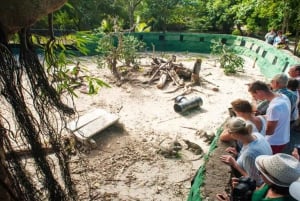 Punta Cana: Iguana Sanctuary, Sailing & BBQ Tour