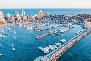 Stadsrondleiding Punta del Este voor cruisers