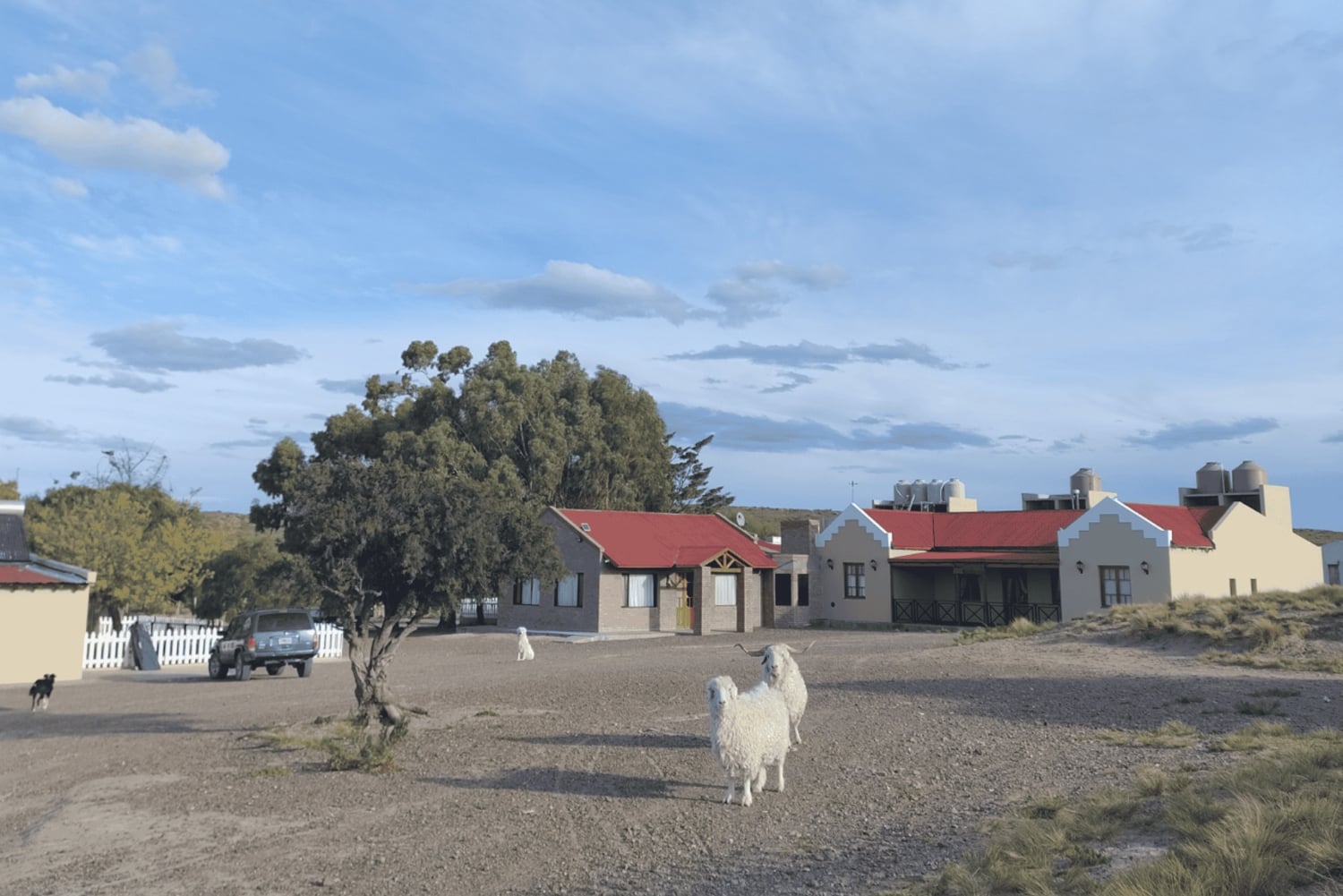 Escursione a Punta Loma + Ranch per i passeggeri in crociera
