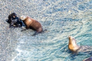 Escursione a Punta Loma + Ranch per i passeggeri in crociera