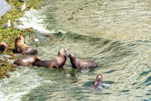 Excursión Punta Loma + Rancho para cruceristas