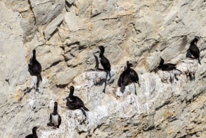 Excursión Punta Loma + Rancho para cruceristas