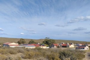 Punta Loma + Ranch Excursion à terre pour les passagers de la croisière