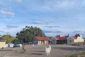 Escursione a Punta Loma + Ranch per i passeggeri in crociera