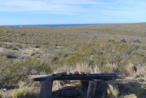 Escursione a Punta Loma + Ranch per i passeggeri in crociera