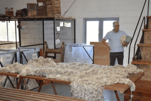 Punta Loma + Ranch Shore Excursion for cruisepassasjerer