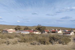 Escursione a Punta Loma + Ranch per i passeggeri in crociera