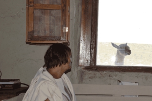 Escursione a Punta Loma + Ranch per i passeggeri in crociera