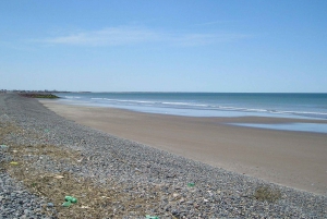 Excursión a los pingüinos de Punta Tombo y observación opcional de toninas