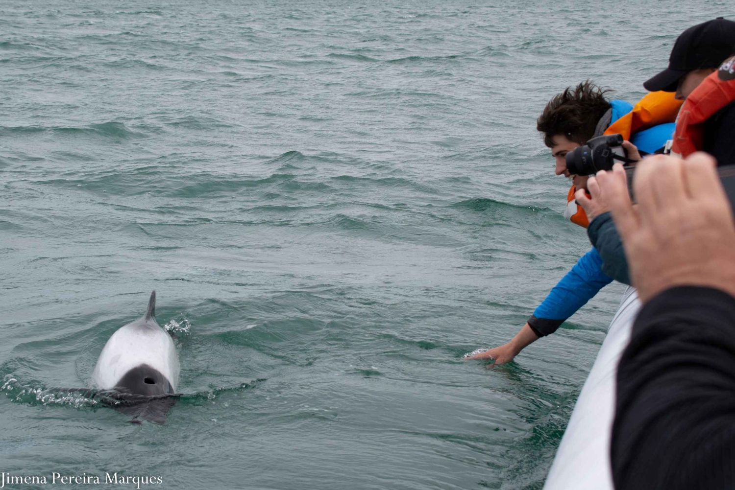 Punta Tombo + Rawson + Isla Escondida a partir de P. Madryn ou Trelew