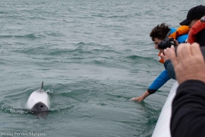 Punta Tombo + Rawson + Isla Escondida a partir de P. Madryn ou Trelew