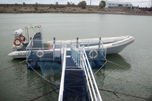 Punta Tombo + Rawson + Isla Escondida a partir de P. Madryn ou Trelew