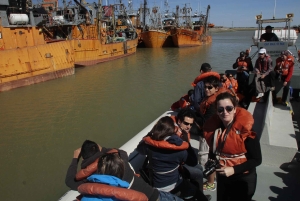 Punta Tombo + Rawson + Isla Escondida a partir de P. Madryn ou Trelew
