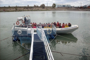 Punta Tombo + Rawson + Isla Escondida a partir de P. Madryn ou Trelew