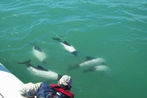 Punta Tombo + Rawson + Isla Escondida vanuit Puerto Madryn/rel