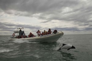 Punta Tombo + Rawson + Isla Escondida fra Puerto Madryn
