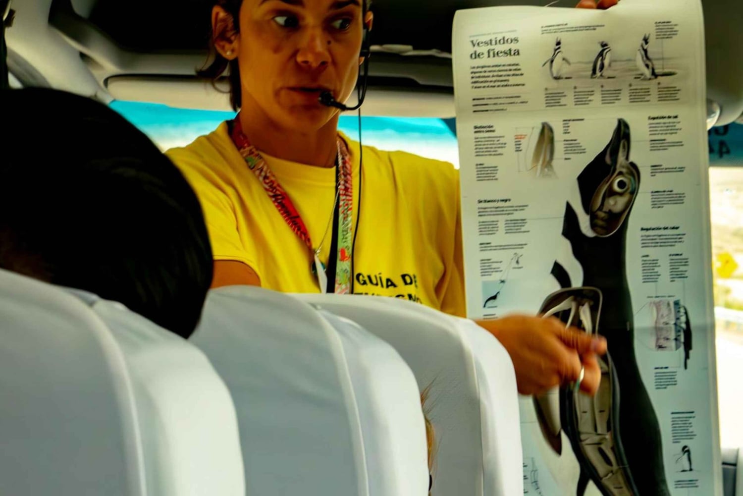 Wyprawa do Punta Tombo dla pasażerów rejsu + miasto