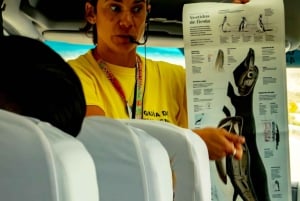 Wyprawa do Punta Tombo dla pasażerów rejsu + miasto