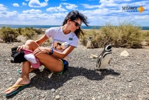 Wyprawa do Punta Tombo dla pasażerów rejsu + miasto