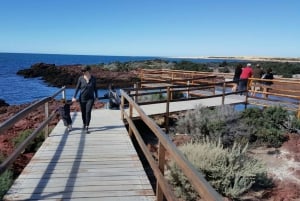 Wyprawa do Punta Tombo dla pasażerów rejsu + miasto