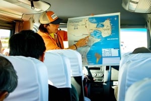 Punta Tombo Landausflug für Kreuzfahrtpassagiere Mittagessen+Stadt