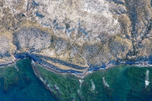 Punta Tombo strandutflykt låg kostnad