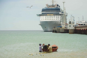 Punta Tombo Landausflug kostengünstig