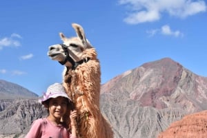 Purmamarca: Vandring med lamor genom mångfärgade berg
