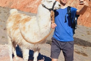 Purmamarca: Vandring med lamor genom mångfärgade berg