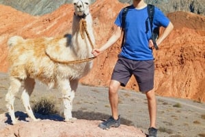 Purmamarca: Vandring med lamor genom mångfärgade berg