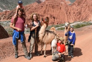 Purmamarca: trektocht met lama's door veelkleurige bergen