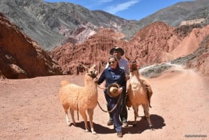 Purmamarca: trektocht met lama's door veelkleurige bergen