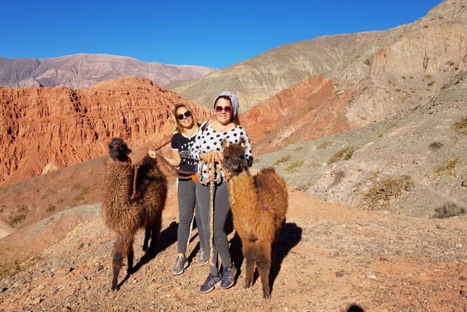 Purmamarca: Trekking z lamami przez wielokolorowe góry