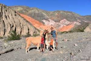 Purmamarca: Vandring med lamor genom mångfärgade berg