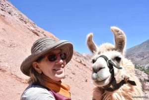 Purmamarca: Vandring med lamor genom mångfärgade berg