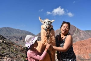 Purmamarca: Vandring med lamor genom mångfärgade berg