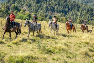 Rafting og ridning i El Manso, med avgang fra Bariloche