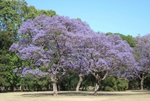 Recoleta: Landmarks and Elegance in Buenos Aires